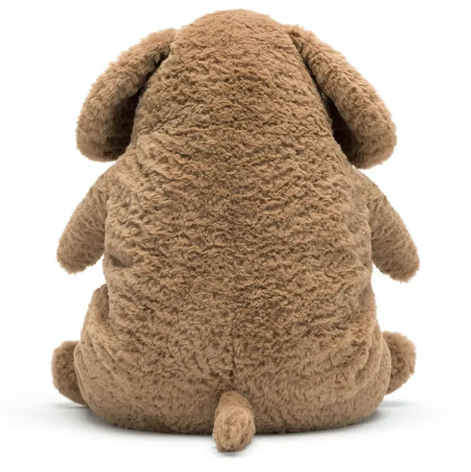 Amore Dog Sale