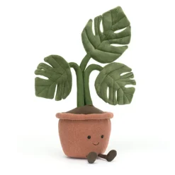 Amuseables Monstera Plant Outlet