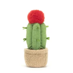 Amuseables Moon Cactus Sale
