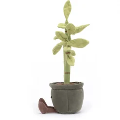 Amuseables Potted Bamboo Outlet