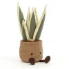 Amuseables Snake Plant Discount
