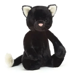 Bashful Black Kitten