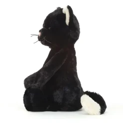 Bashful Black Kitten