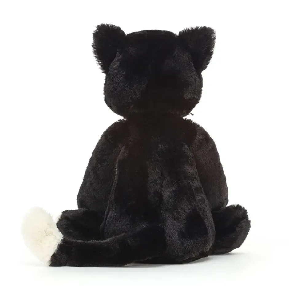 Bashful Black Kitten