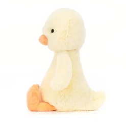 Bashful Duckling New