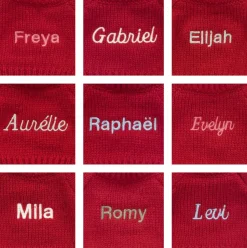 Bashful Giraffe with Personalised Red Jumper Online