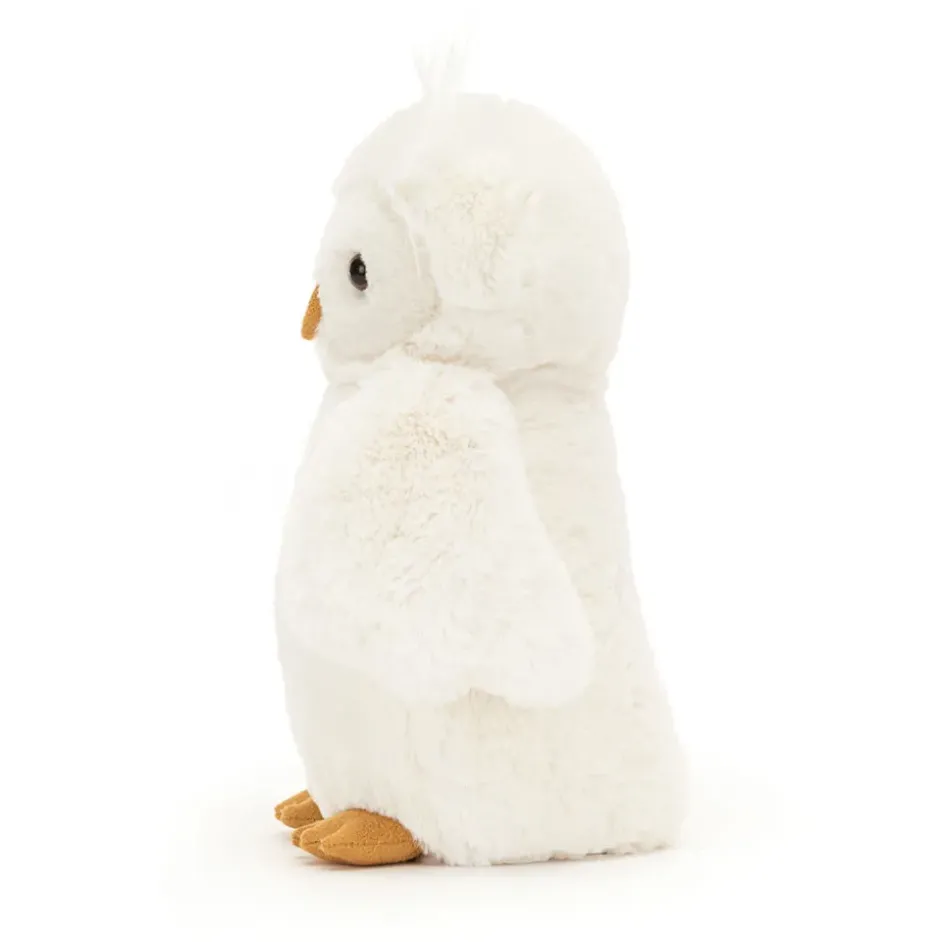 Bashful Owl Online