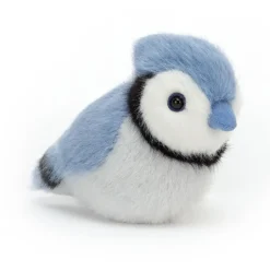 Birdling Blue Jay Clearance