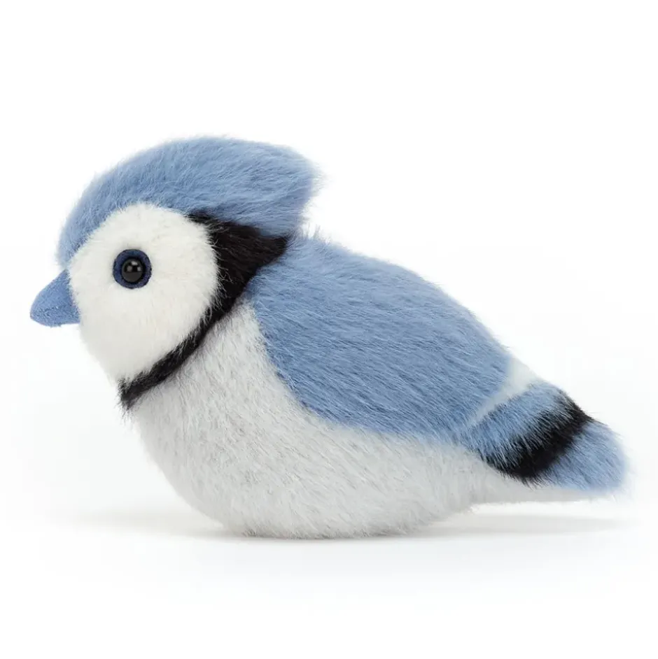 Birdling Blue Jay Clearance