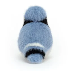Birdling Blue Jay Clearance