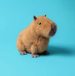 Clyde Capybara Online