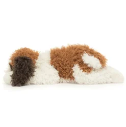 Floofie St Bernard