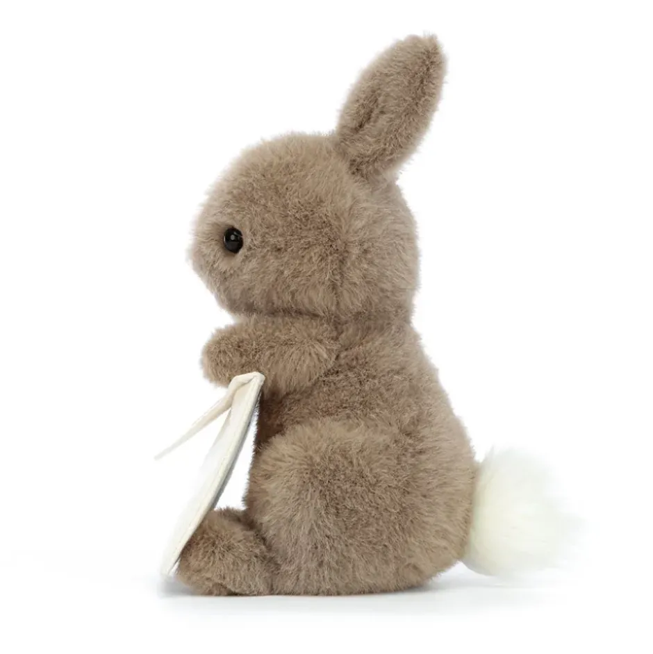 Messenger Bunny New