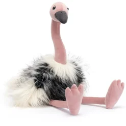 Ramonda Ostrich Best