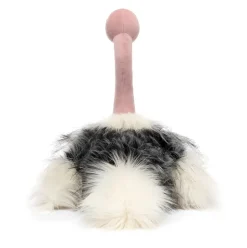 Ramonda Ostrich Best