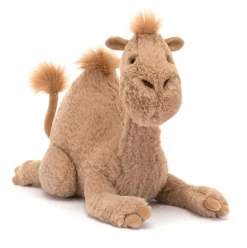 Richie Dromedary Sale