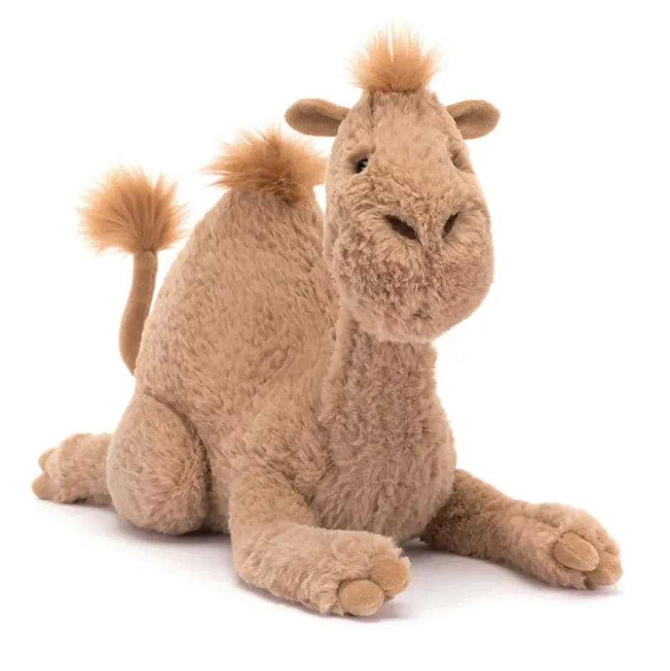 Richie Dromedary Sale