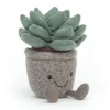 Silly Succulent Azulita Hot