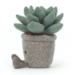 Silly Succulent Azulita Hot