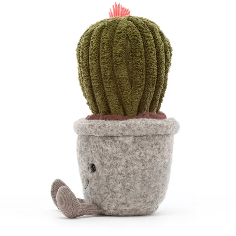 Silly Succulent Barrel Cactus Discount