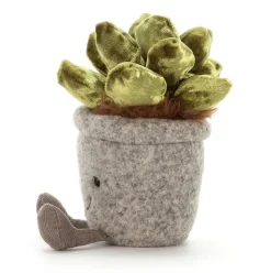 Silly Succulent Jade Hot