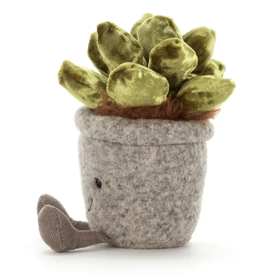 Silly Succulent Jade Hot