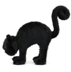 Spookipaws Cat Clearance