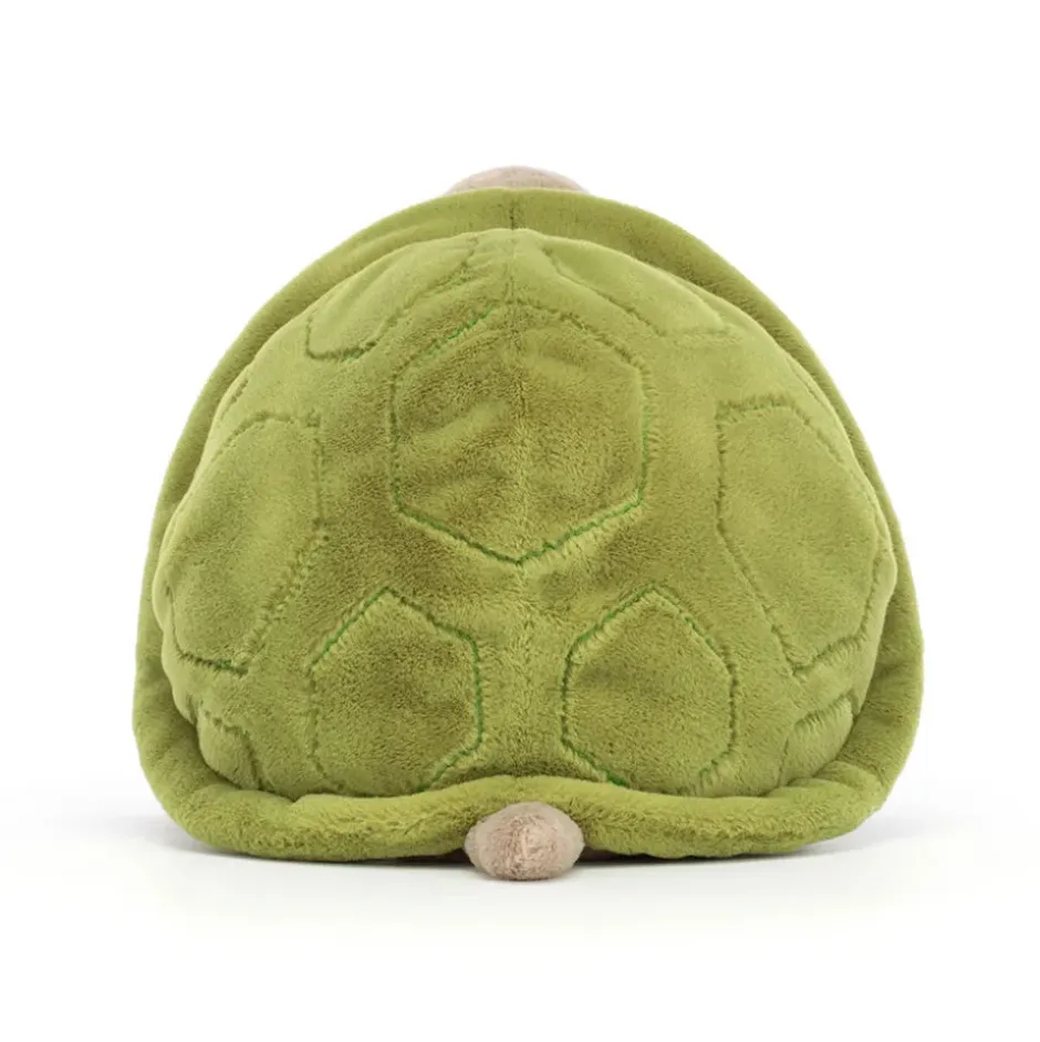 Timmy Turtle New