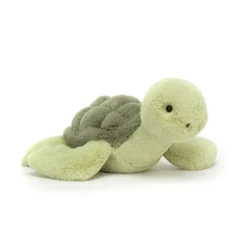 Tully Turtle Outlet