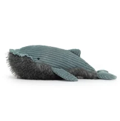 Wiley Whale New